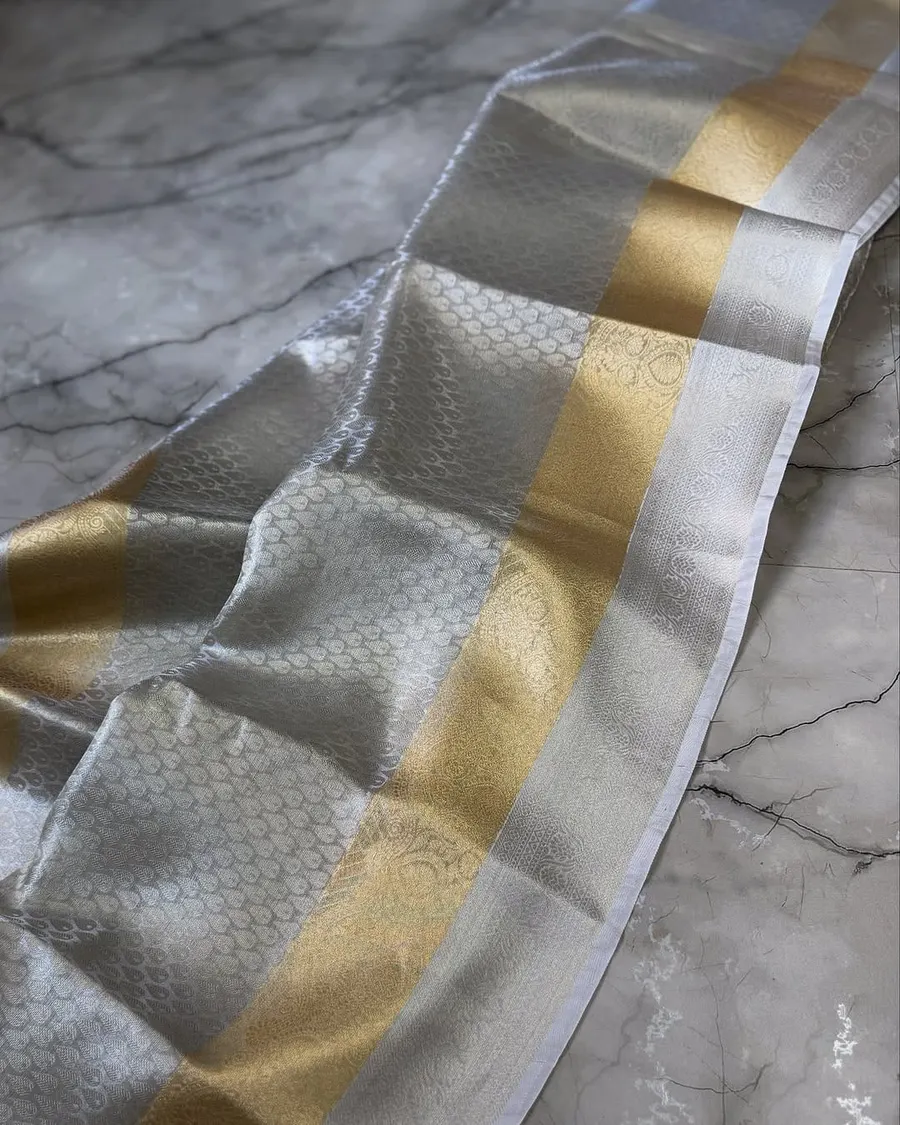 Banarasi Zari Tissue Sarees